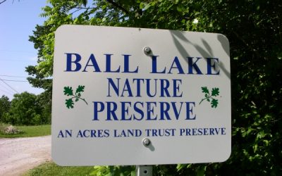 Ball Lake Nature Preserve